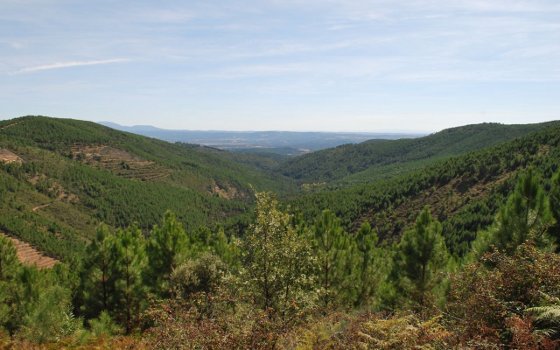Sierra de Gredos